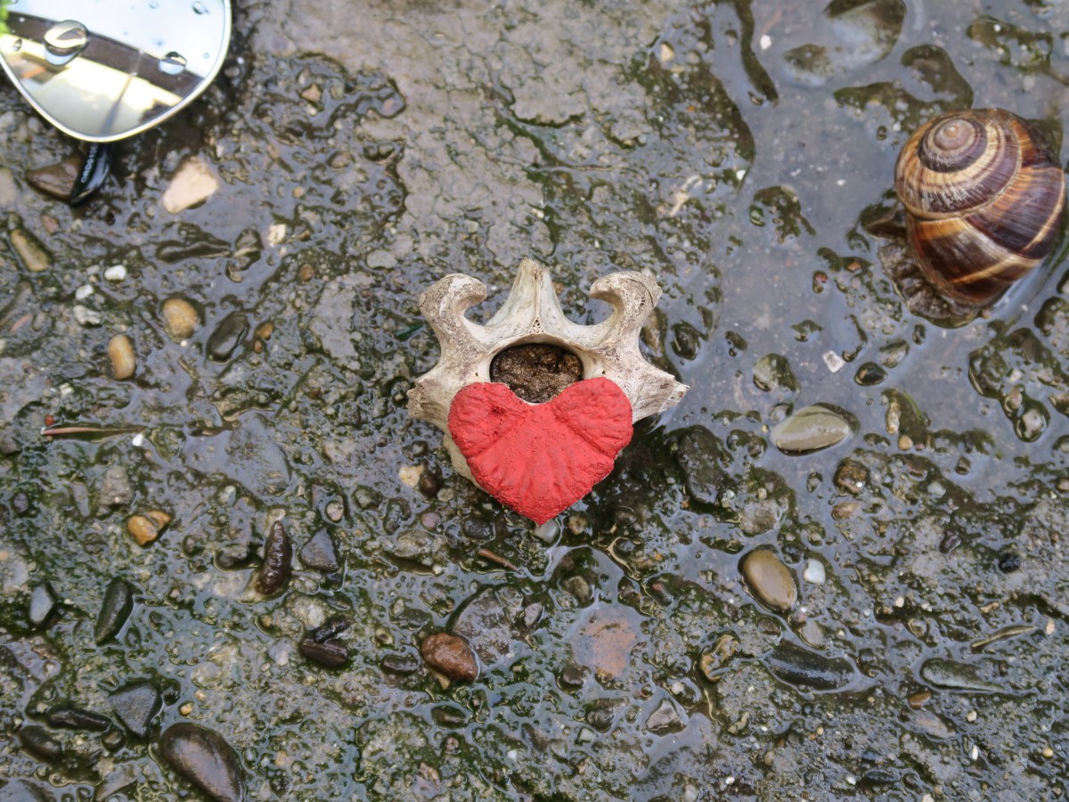 X marks the&nbsp;spot